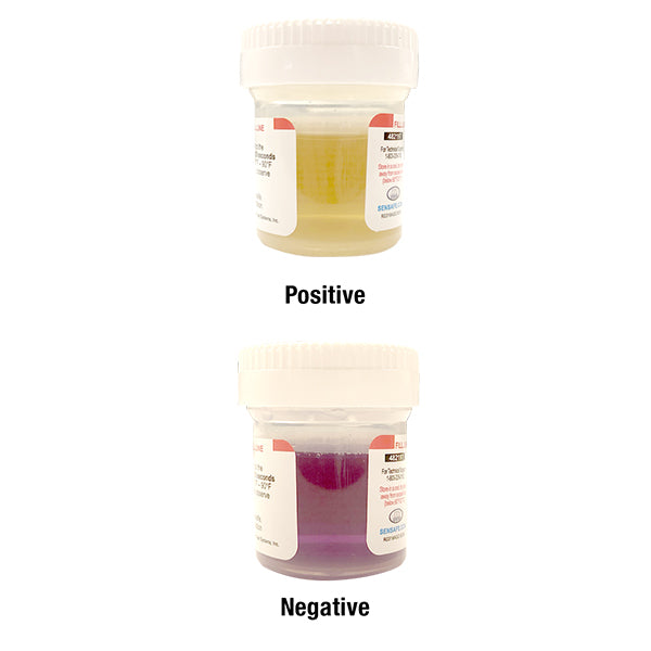 WaterWorks™ Bacteria Check Mini – 2 bottles of 1 test | ITS-482197-2