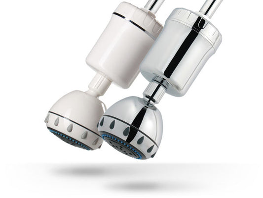 Hydro-Guard Shower Filter